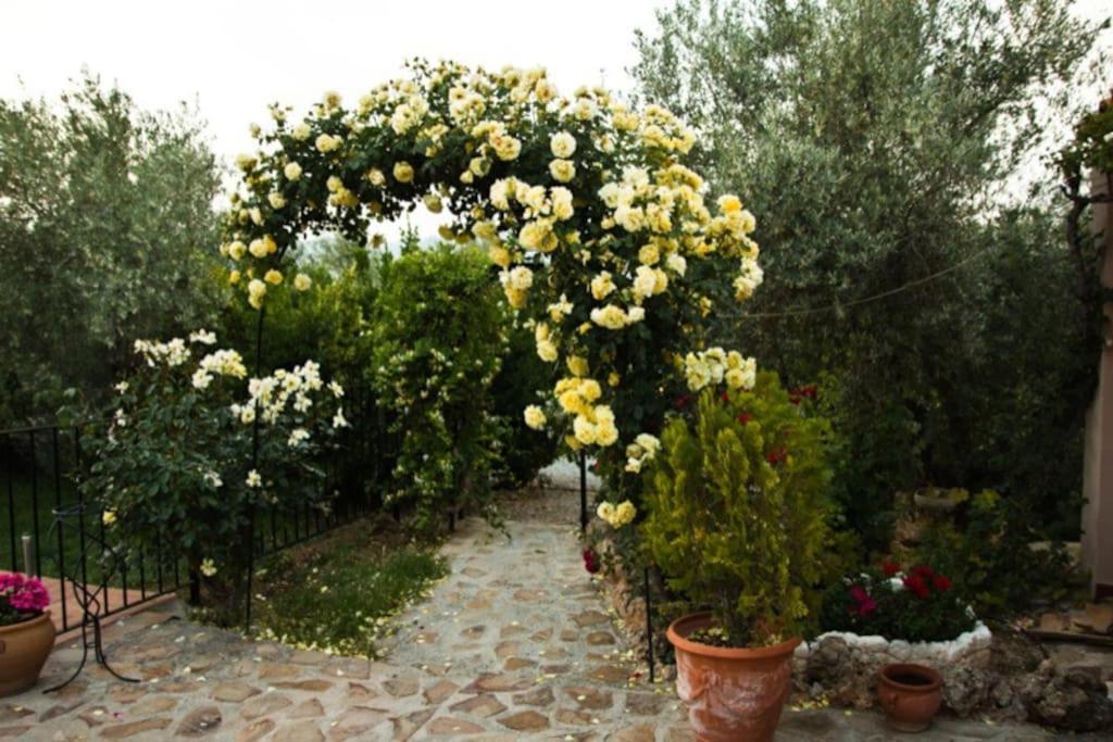 Cazorla-Alcon, Casa Hoya Don Gaspar Pozo Alcón エクステリア 写真