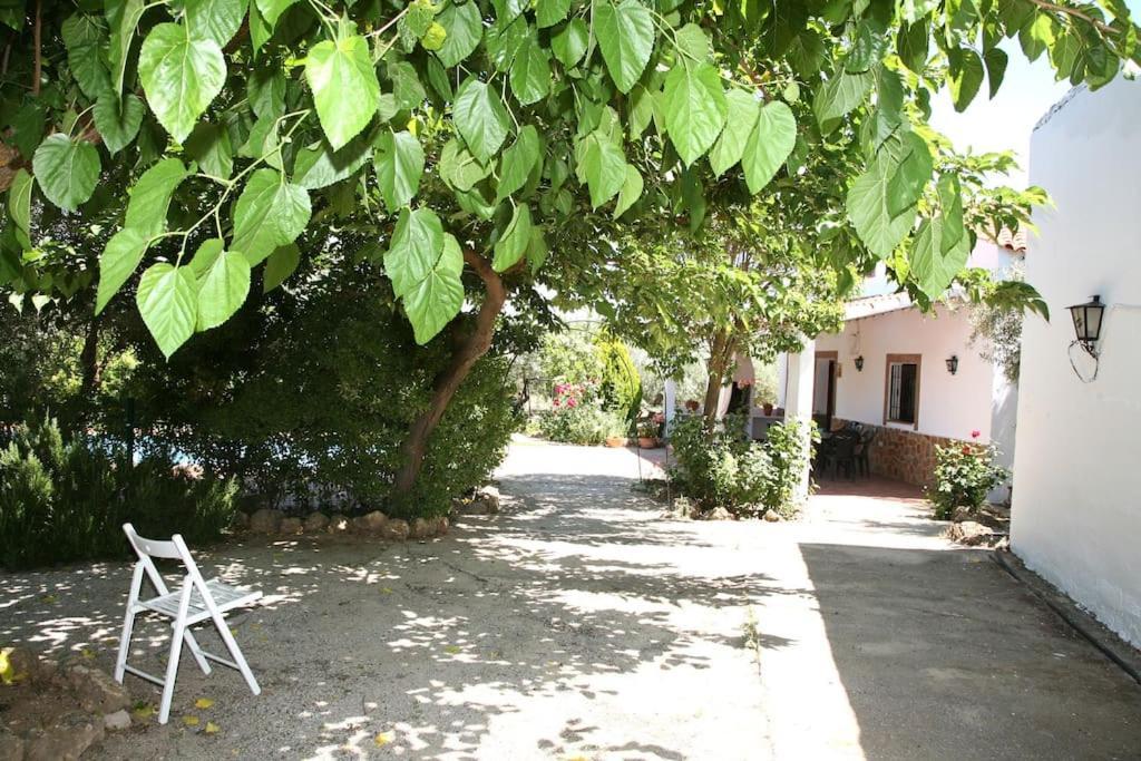 Cazorla-Alcon, Casa Hoya Don Gaspar Pozo Alcón エクステリア 写真